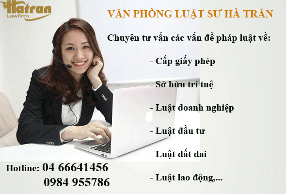 tu-van-so-huu-tri-tue
